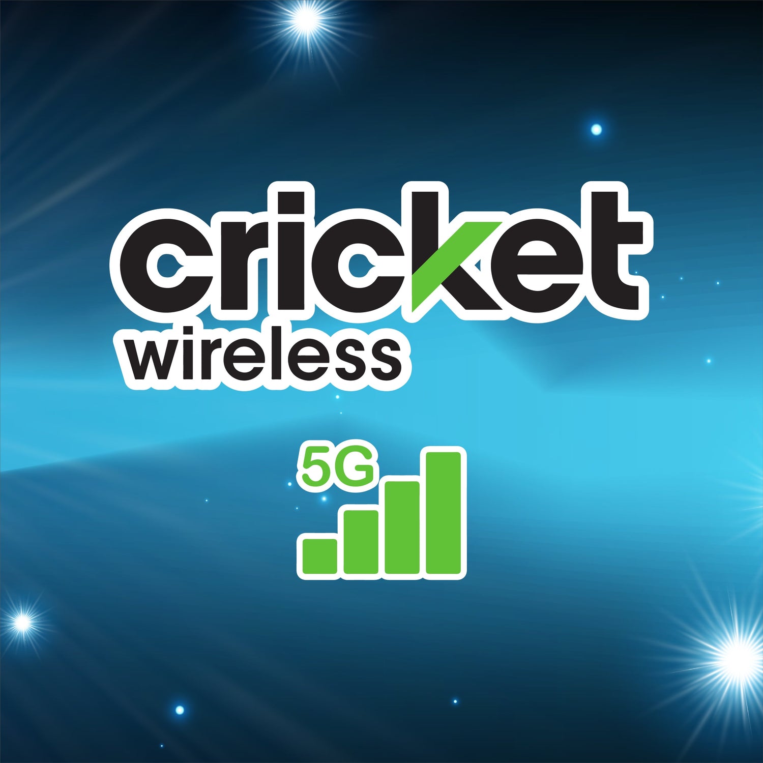 CLEANING CRICKET